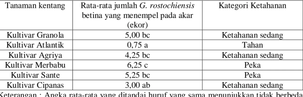 Tabel 1.  Jumlah Globodera rostochiensis Betina yang Menempel pada Akar  Tanaman kentang  Rata-rata jumlah G