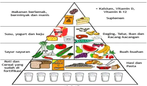 Gambar 3. Piramida makanan gizi seimbang 