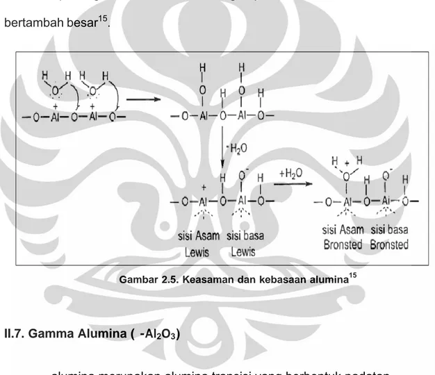 Gambar 2.5. Keasaman dan kebasaan alumina 15 