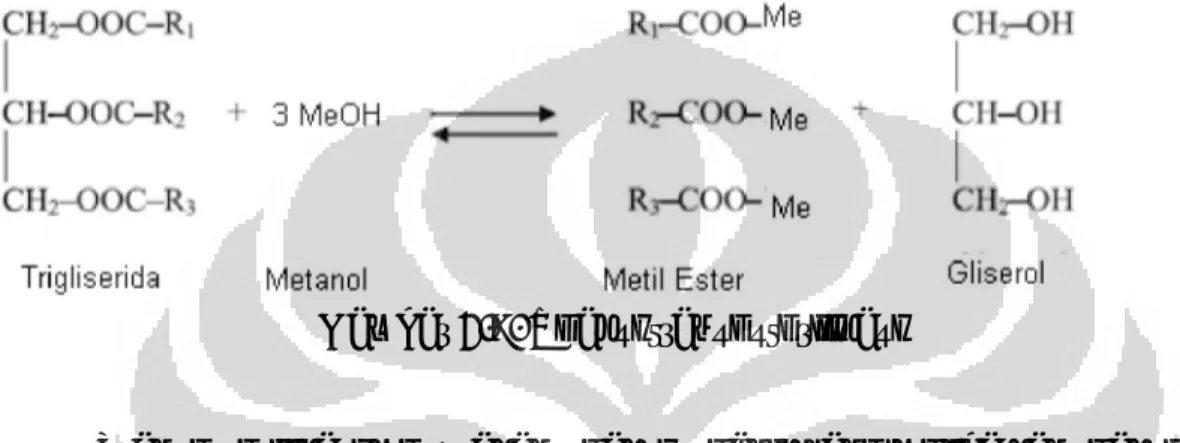 Gambar 2.9. Reaksi transesterifikasi 
