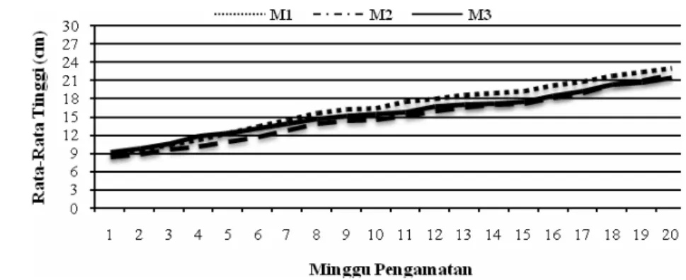 Gambar  14  menunjukkan  tinggi  rata-rata  terbaik  diperoleh  pada  media  campuran  arang  sekam-tanah  (M1)  yaitu  sebesar  20,76  cm,  diikuti  oleh  media  campuran pasir-tanah (M3) sebesar 19,22 cm dan media arang sekam murni (M2)  sebesar 18,98 cm
