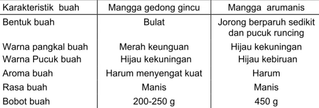 Tabel 1.   Karakteristik keunggulan mangga gedong gincu dibandingkan mangga  arumanis  