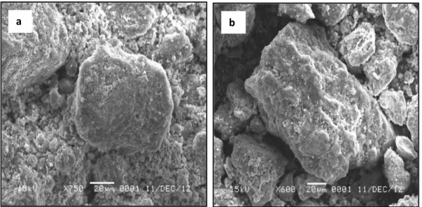 Gambar 6 Morfologi Permukaan Zeolit (a) sebelum aktivasi (b) setelah aktivasi   ( Sumber :Fachrul, 2012)