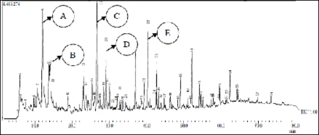 Gambar  2.  Kromatogram  Bio-oil  Ampas  Ubi  Kayu  Menggunakan Katalis 0% Ni/NZA 