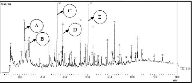 Gambar  5.  Kromatogram  Bio-oil  Ampas  Ubi  Kayu  Menggunakan Katalis 3% Ni/NZA