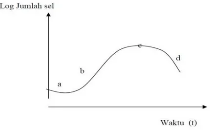 Gambar  4.  Kurva  pertumbuhan  bakteri,  menunjukkan  empat  fase  pertumbuhan  :  a=fase  lag;  b=fase  log;  c=fase  stasioner  dan  d=fase  kematian  (Brock  dan Madigan, 2003) 
