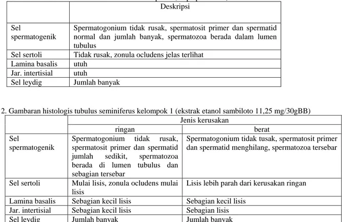 Tabel 2. Gambaran histologis tubulus seminiferus kelompok 1 (ekstrak etanol sambiloto 11,25 mg/30gBB) 