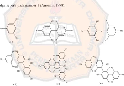 Gambar 1. Struktur kimia beberapa polifenol alga : (1) Floroglusinol, (2) Difucol, (3) Bifuhalol, (4) Trifucol, (5) Isomer I Tetrafucol, (6) Isomer II Tetrafucol 