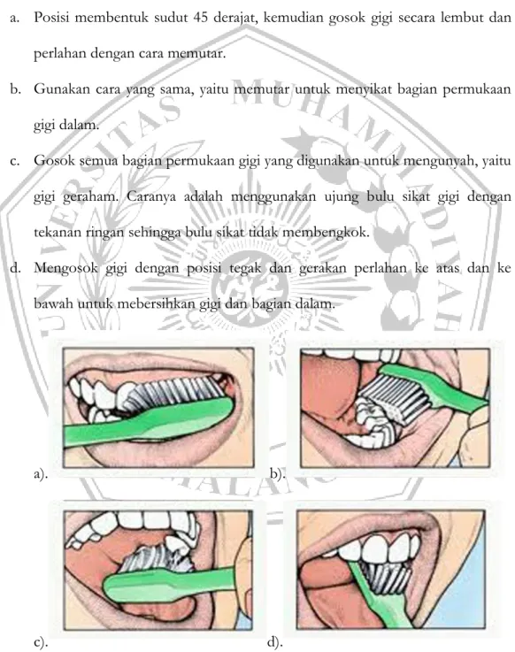 Gambar 2.1 cara menyikat gigi yang benar (Hidayat &amp; Tandiari, 2016) 