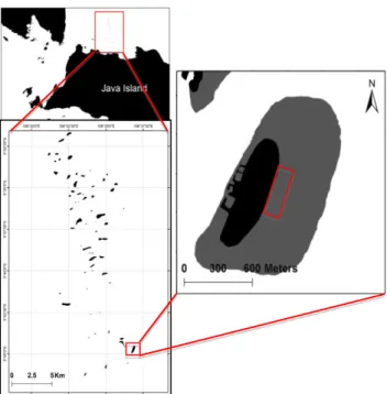 Gambar 1. Lokasi penelitian pulau Pramuka, kepulauan Seribu. 