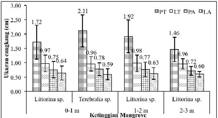 Gambar  2.  Rata-rata  ukuran  cangkang  gastropoda  yang  ditemukan  pada  setiap  ketinggian