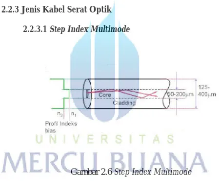 Gambar 2.6 Step Index Multimode 