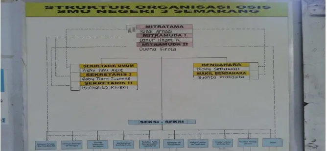 Gambar 7. Struktur Organisasi OSIS SMA Negeri 3 Semarang