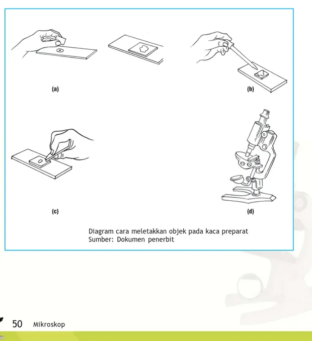 Diagram cara meletakkan objek pada kaca preparat Sumber: Dokumen penerbit