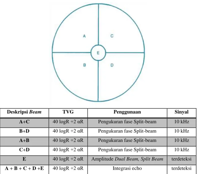 Gambar 8. Diagram dari transducer dual beam / split beam, menunjukkan lokasi dari berbagai  segmen yang dijelaskan dalam teks dan bentuk masing-masing beam yang digunakan dalam 