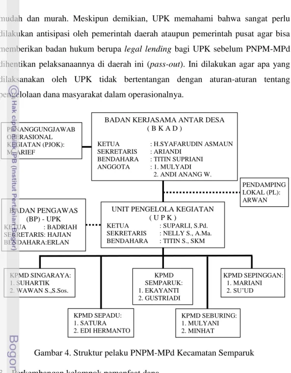 Gambar 4. Struktur pelaku PNPM-MPd Kecamatan Semparuk  3.  Perkembangan kelompok pemanfaat dana  