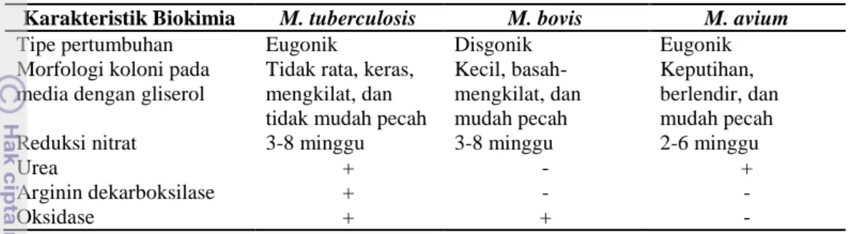 Tabel 5 Karakteristik biokimiawi Mycobacterium spp. 