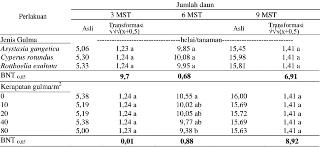 Tabel 6. Pengaruh jenis dan tingkat kerapatan gulma pada jumlah daun sorgum pada umur 3, 6, dan 9 MST