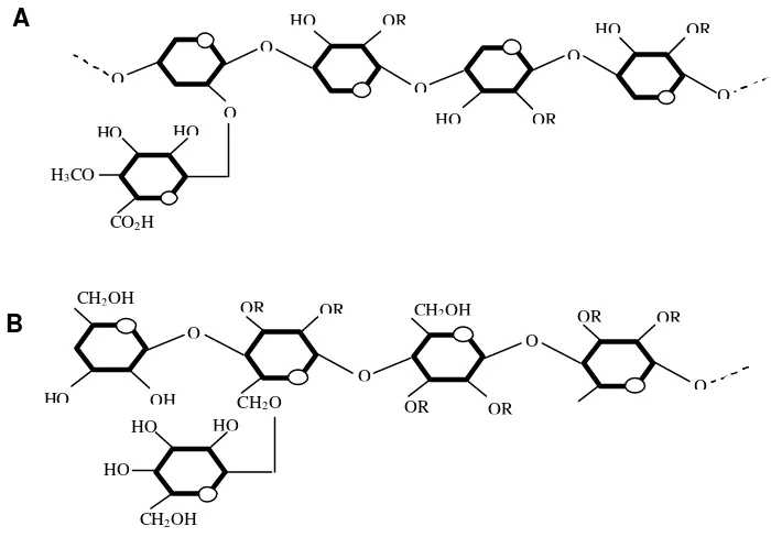 Gambar  3. A. Struktur O-asetil-4-O-metilglukoronoksilan (hemiselulosa utama di kayu daun lebar)