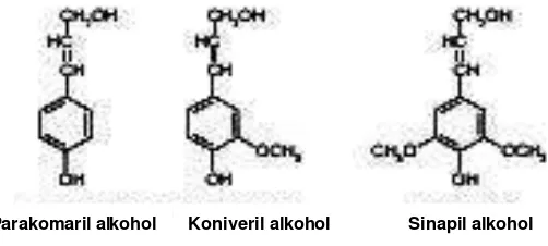 Gambar 6 . Ikatan ß-aryl ether pada lignin kayu (Jeffries, 1994)  