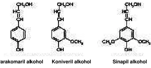 Gambar 6 . Ikatan ß-aryl ether pada lignin kayu (Jeffries, 1994)  