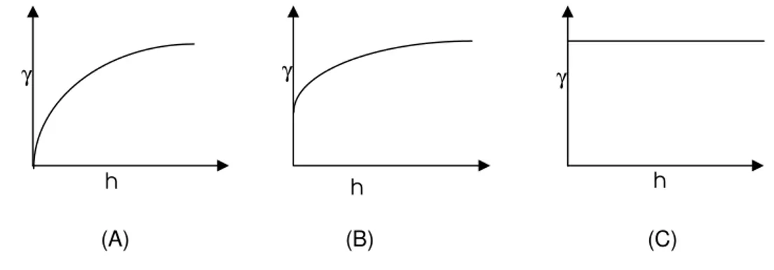 Gambar  3.7   Contoh variogram.   γ adalah covariance antar   densitas ikan yang diamati  di jarak lokasi bagian h