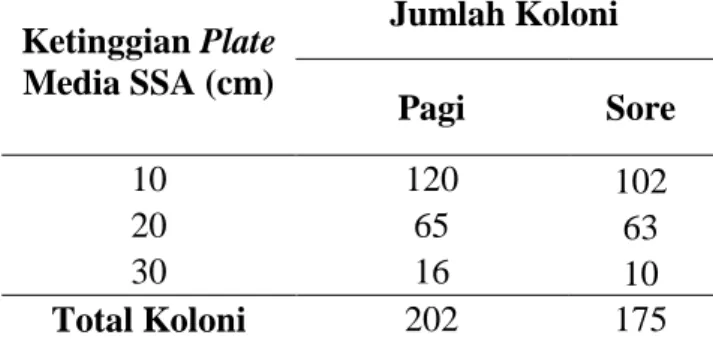 Tabel  1.  Jumlah  koloni  bakteri  Salmonella  sp  dalam  kandang  ayam  Broiler  di     Desa Cot Sayun, Blang Bintang, Aceh Besar 