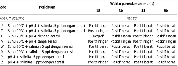 Tabel 1. Hasil  analisis  PCR  benur  udang  windu  yang  berasal  dari  panti  perbenihan  skala  rumah tangga  di Kabupaten  Barru sebelum  dan  sesudah uji  stressing