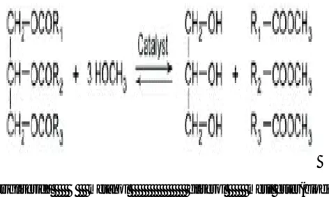 Gambar 3. Transesterifikasi Minyak menjadi Biodisel. (R 1–3  adalah gugus                       hidrokarbon)