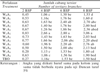 Tabel 2.   Pengaruh kombinasi waktu dekomposisi dan komposisi  ampas  sagu  terhadap  pertambahan  jumlah  cabang  tersier lada perdu 