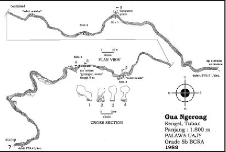 Gambar 1. Peta Gua Ngerong dengan keterangan lokasi pencuplikan: site 1, site 2, site 3 dan site 4 (Digambar ulang dari Palawa 1988).
