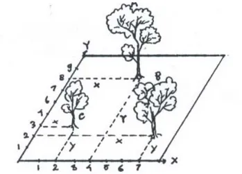 Gambar 7. Pengukuran diameter pohon setinggi dada 
