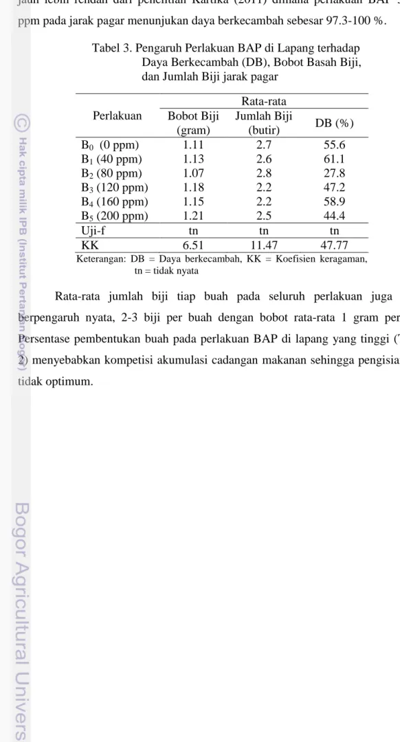 Tabel 3. Pengaruh Perlakuan BAP di Lapang terhadap  Daya Berkecambah (DB), Bobot Basah Biji,  dan Jumlah Biji jarak pagar 