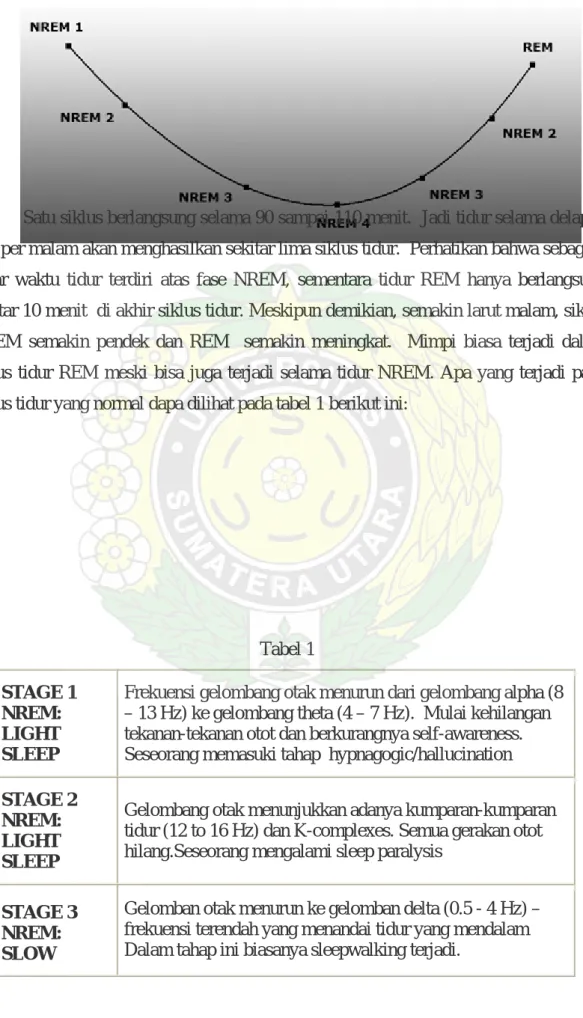 Gambar 1 Siklus Tidur 