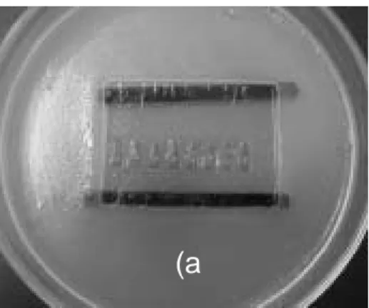 Gambar 2. Penahan jarum (a),  mikroinjektor (b), mikroskop (c), mikromanipulator (d) dan gel agarosa sebagai penyangga embrio saat injeksi (e).