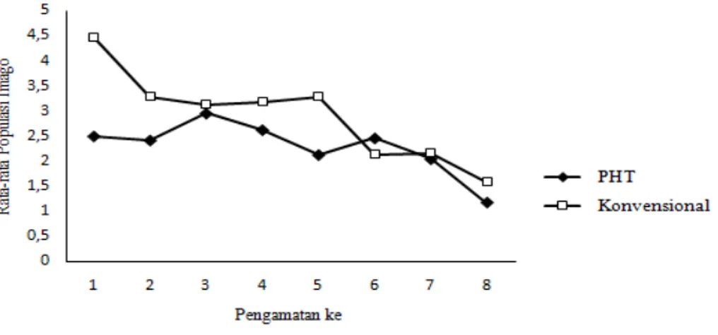 Gambar 7. Fluktuasi populasi imago predator E. sumbana pada tanaman cabai besar  Tabel 4