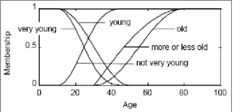 Gambar 2.1 Diagram Fuzzy usia 