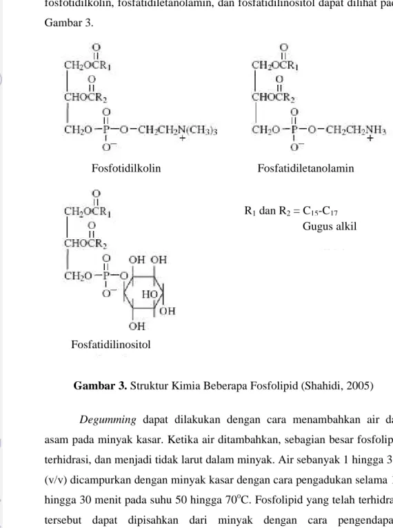 Gambar 3. Struktur Kimia Beberapa Fosfolipid (Shahidi, 2005)