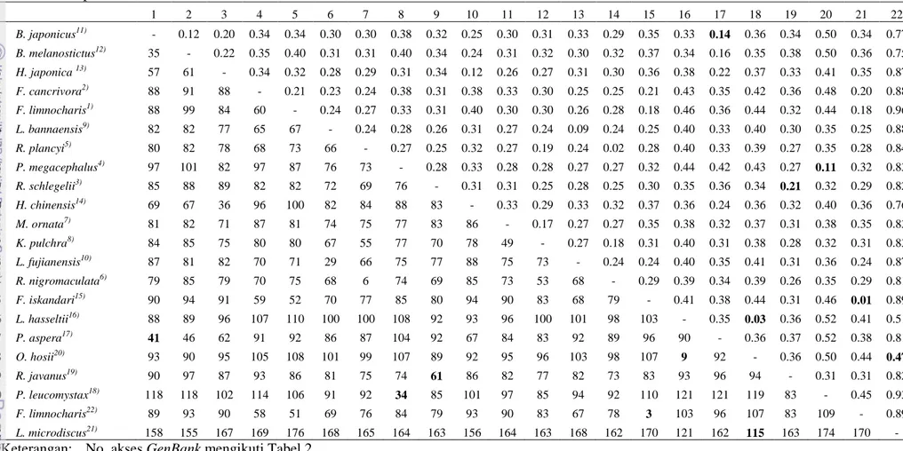 Tabel 4. Jumlah perbedaan nukleotida (bawah diagonal) dan jarak genetik (atas diagonal) berdasarkan gen 12S rRNA dan 16S rRNA antar  sampel berudu  1  2  3  4  5  6  7  8  9  10  11  12  13  14  15  16  17  18  19  20  21  22  1  B