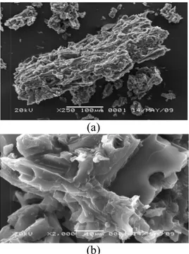 Gambar 6. Komposit polimer-karbon