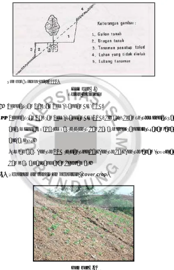 Gambar 3.9 Teras Individu