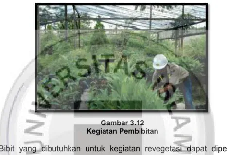 Gambar 3.12 Kegiatan Pembibitan