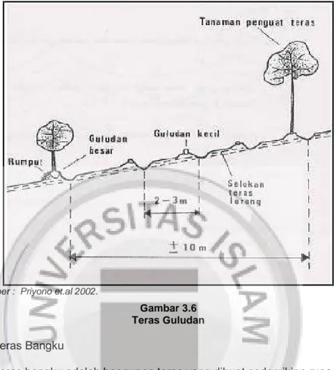 Gambar 3.6 Teras Guludan