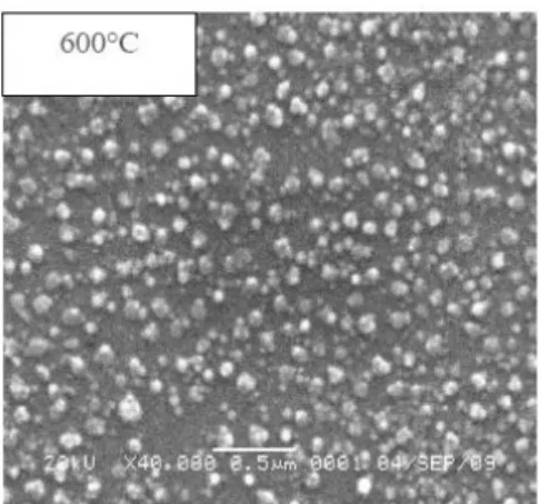 Gambar  7.  Citra  SEM  film  tipis  Ga2O3:Zn  yang ditimbuhkan pada suhu 600oC 