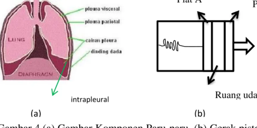 Gambar 4.(a) Gambar Komponen Paru-paru, (b) Gerak piston yang  Setara dengan Respirasi