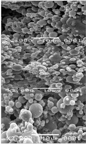 Gambar 1. Foto SEM Nanopartikel Kosong (a), Terisi  Ketoprofen pada Formulasi Tween 80 (b) dan  Span 80 (c) pada Perbesaran 2000 Kali 