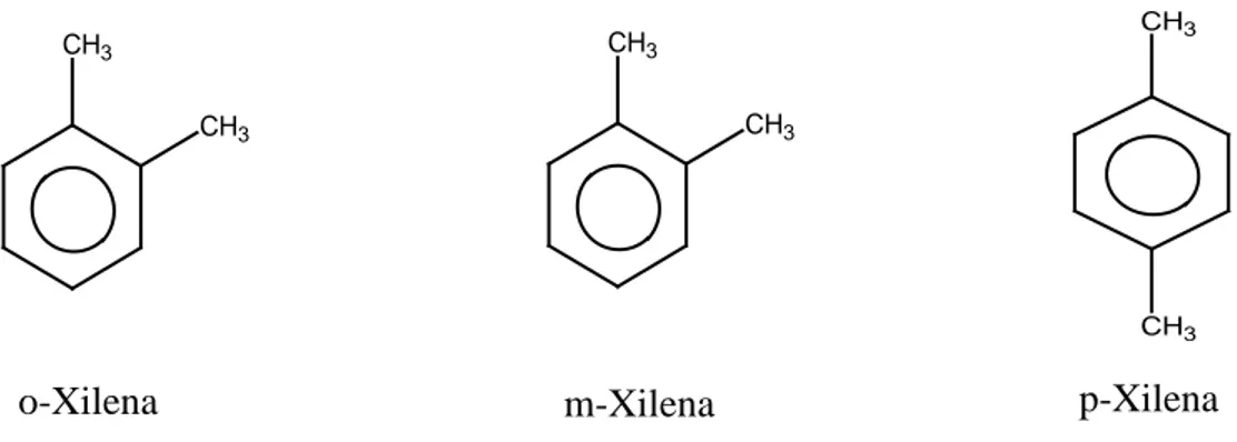 Gambar 2.7 Struktur o-xilena, m-xilena dan p-xilena. 