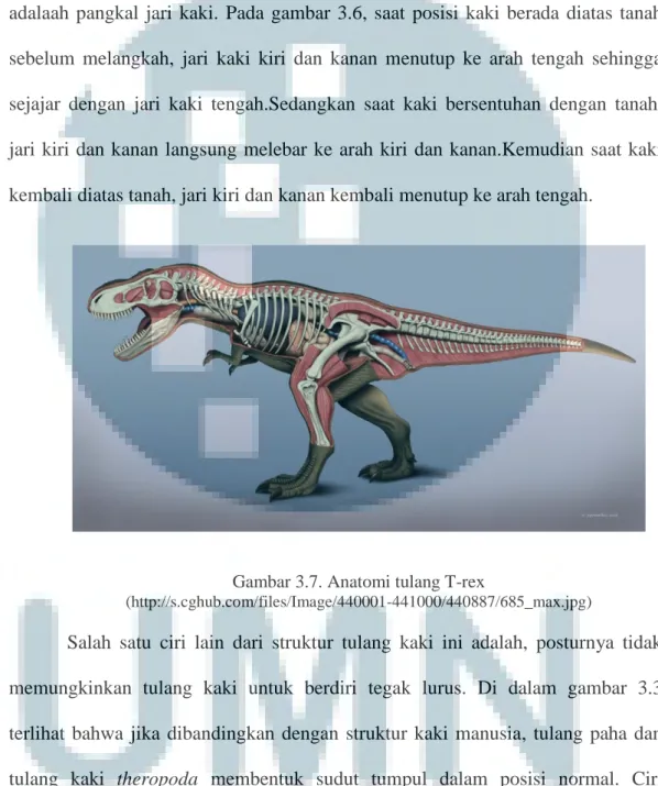 Gambar 3.7. Anatomi tulang T-rex 