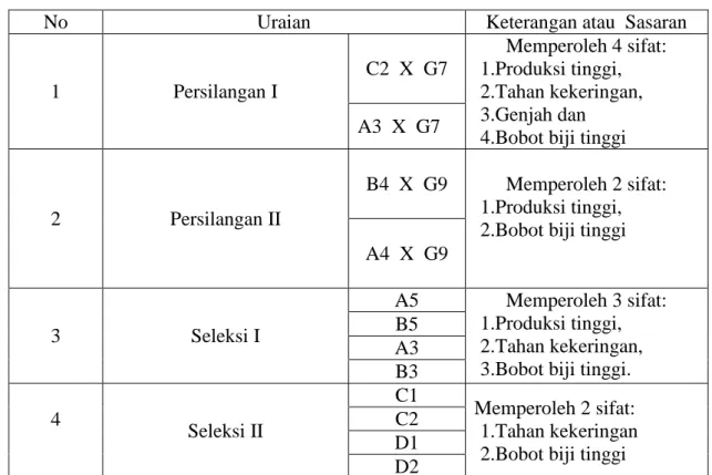 Tabel 3.  Metode penelitian tahap 2  (persilangan  dan Seleksi)