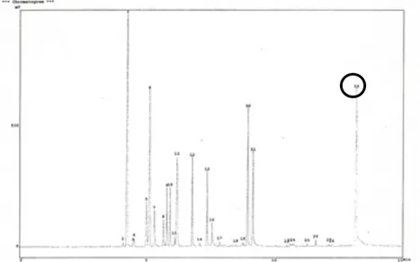 Gambar 1.  Kromatogram gas myristicin pada sampel minyak esensial daging buah pala  dari metode kering-angin 